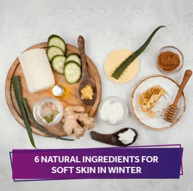 Six Natural Ingredients for Soft Skin in Winter