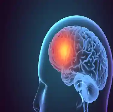 Brain Tumor: Types, Symptoms, Risk Factors and Treatment
