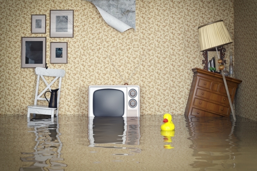 The Importance of Home Insurance