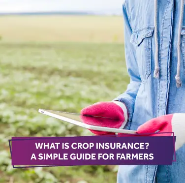 crop-insurance-guide-for-farmers