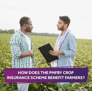 how-pmfby-crop-insurance-scheme-benefit-farmers