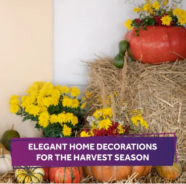 elegant-home-decorations-for-the-harvest-season